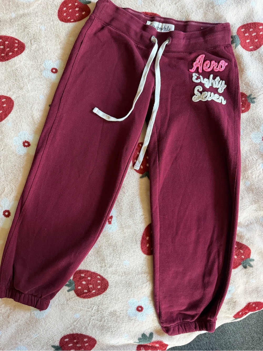 Vintage Aeropostale Sweatpants
